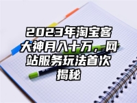 2023年淘宝客大神月入十万，网站服务玩法首次揭秘