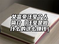 女富豪汪莹个人简介（汪莹是做什么的这么赚钱）