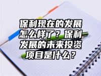 保利现在的发展怎么样了？保利发展的未来投资项目是什么？