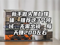 新手做头条自媒体，推荐这3个领域，无需出镜，每天赚200左右