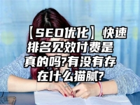 【SEO优化】快速排名见效付费是真的吗?有没有存在什么猫腻?