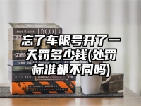 忘了车限号开了一天罚多少钱(处罚标准都不同吗)