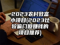 2023农村致富小项目(2023比较偏门但赚钱的项目推荐)