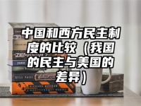 中国和西方民主制度的比较（我国的民主与美国的差异）