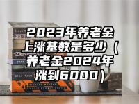 2023年养老金上涨基数是多少（养老金2024年涨到6000）