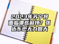 2023年苏宁将面临哪些麻烦？张近东也无力回天