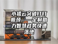 小狐云突破钉钉瓶颈——定制助力智慧政务快速落地