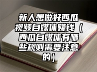 新人想做好西瓜视频自媒体赚钱（西瓜自媒体有哪些规则需要注意的）