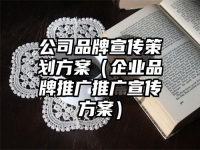 公司品牌宣传策划方案（企业品牌推广推广宣传方案）