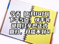 今天（6月14日）下午5点，快手头部网红辛巴正式回归，开播不到4