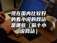 现在国内比较好的看小说的网站是哪些（前十小说网站）