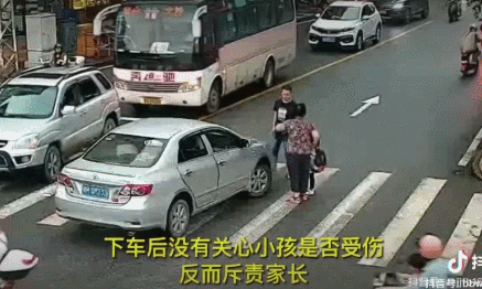 电脑视频剪辑软件哪个好 怎么将视频某个片段画面局部放大?