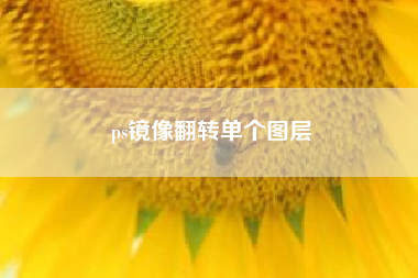 ps镜像翻转单个图层(在ps中如何让图像按自己想要的效果来进行翻转)