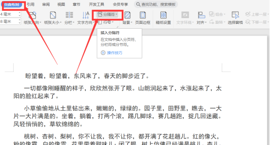 如何在WPS文档删除分页符？