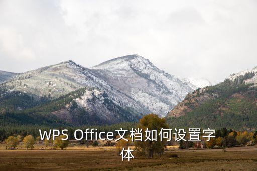 wps怎么设置字体，WPS Office文档如何设置字体