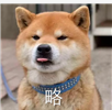 Word文档常见问题（一）