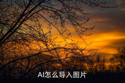 ai图片嵌入，AI怎么导入图片