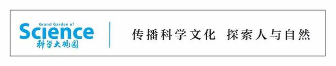 把狗画成肌肉男，AI绘画能有多“离谱”？