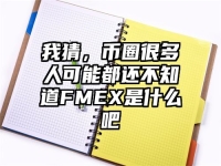 我猜，币圈很多人可能都还不知道FMEX是什么吧