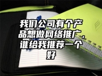 我们公司有个产品想做网络推广，谁给我推荐一个好