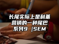 长尾实际上是利基营销的一种尾巴系列9 |SEM