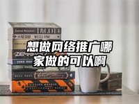 想做网络推广哪家做的可以啊