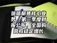 优信聚焦核心业务，第三季度财报公布，全国购营收稳定增长