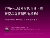 国内十大网络推广公司排名有人知道吗?