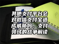 其他支付平台会对微信支付宝造成威胁吗，支付领域的战争解读
