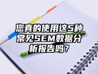 您真的使用这5种常见SEM数据分析报告吗？