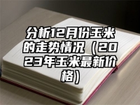 分析12月份玉米的走势情况（2023年玉米最新价格）