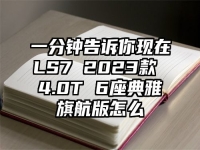 一分钟告诉你现在LS7 2023款 4.0T 6座典雅旗航版怎么
