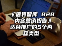 《唐界智库 B2B 内容营销报告》适合推广的5个内容类型
