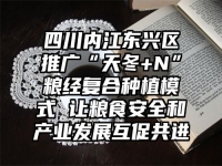 四川内江东兴区推广“天冬+N”粮经复合种植模式 让粮食安全和产业发展互促共进