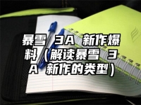 暴雪 3A 新作爆料（解读暴雪 3A 新作的类型）