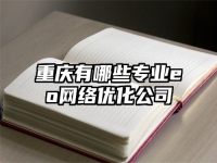 重庆有哪些专业eo网络优化公司