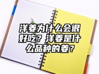 洋姜为什么会很好吃？洋姜是什么品种的姜？