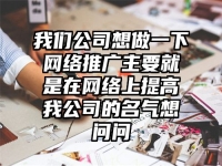 我们公司想做一下网络推广主要就是在网络上提高我公司的名气想问问