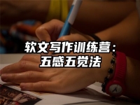 软文写作训练营：五感五觉法
