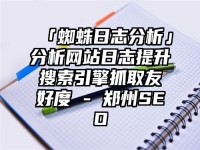 「蜘蛛日志分析」分析网站日志提升搜索引擎抓取友好度 - 郑州SEO