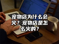 宠物店为什么会火？宠物店是怎么火的？