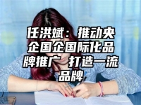 任洪斌：推动央企国企国际化品牌推广 打造一流品牌