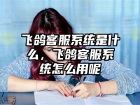 飞鸽客服系统是什么，飞鸽客服系统怎么用呢