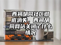 西祠胡同社区彻底消失，西祠胡同网站关闭了什么情况