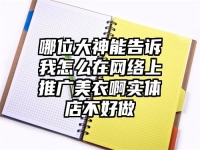 哪位大神能告诉我怎么在网络上推广美衣啊实体店不好做