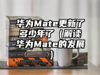 华为Mate更新了多少年了（解读华为Mate的发展）