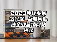 2023年行业网站兴起 互联网加速企业营销网站兴起