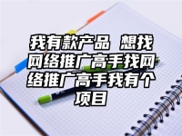 我有款产品 想找网络推广高手找网络推广高手我有个项目