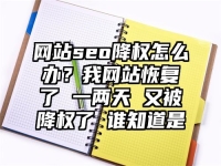 网站seo降权怎么办？我网站恢复了 一两天 又被降权了 谁知道是