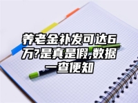 养老金补发可达6万?是真是假,数据一查便知